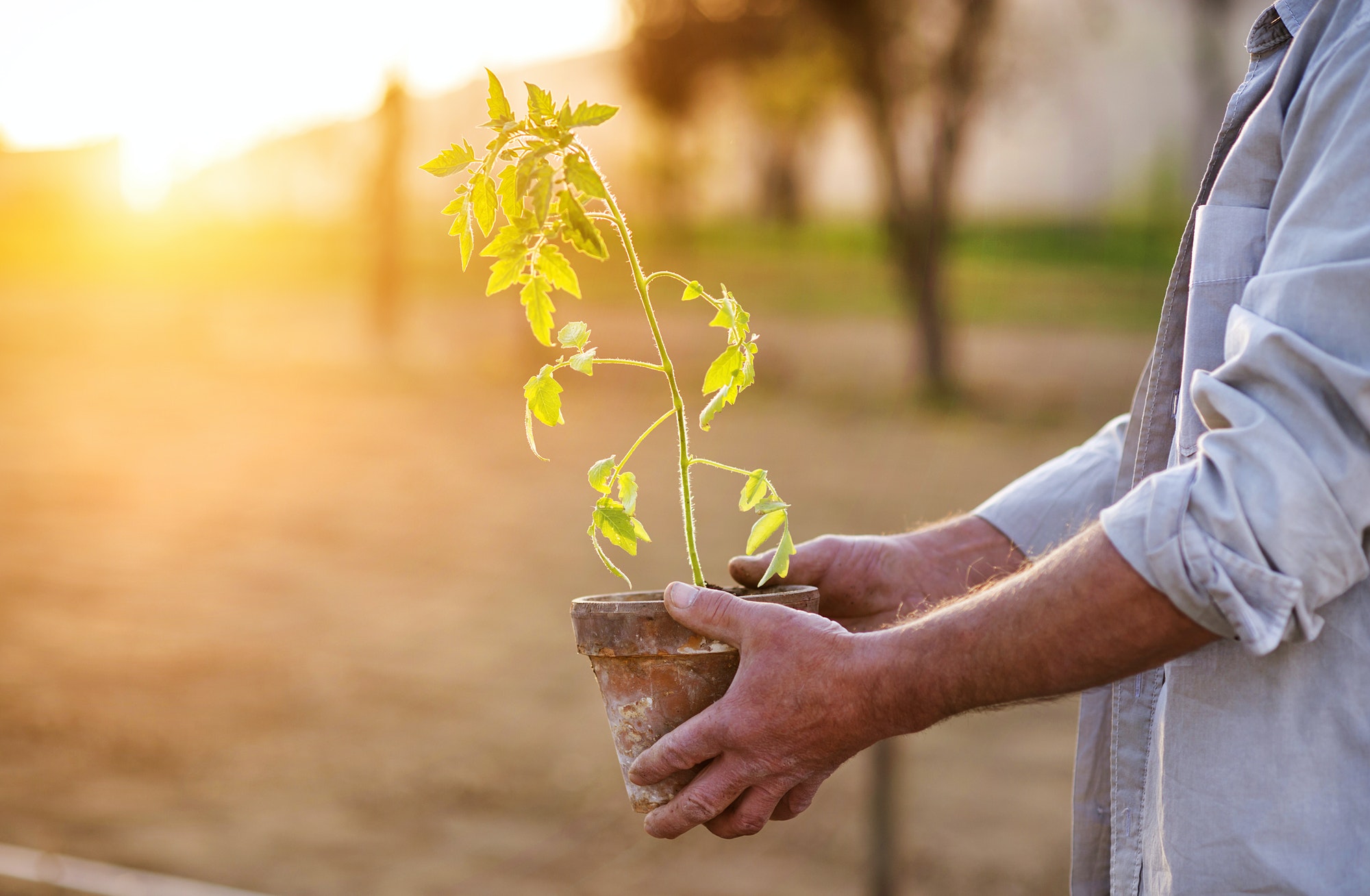 Senior doing gardening as they think over applying for Medicare Part B.